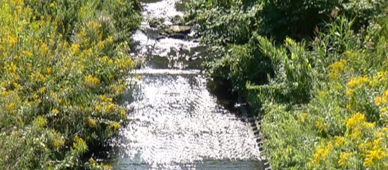 Zanieczyszczanie rzeki Szarlejki w Bytomiu