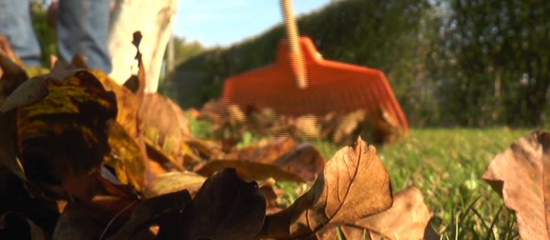 Jesiyń, podzim - a na placy lecům listki