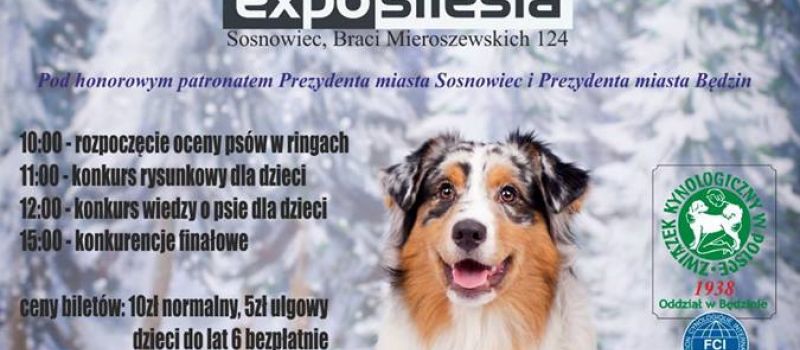 VII ExpoSilesia-DogShow