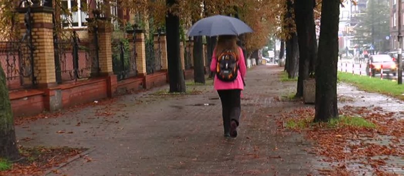 BEZPIECZNA DROGA DO SZKOŁY